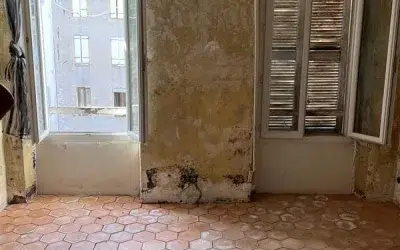 Fissures, infiltrations, humidité dans un immeuble… Comment repérer un désordre structurel ?