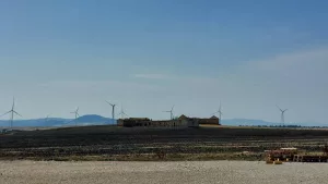 elionnes dont les structures sont à diagnostiquer