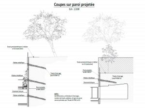 Coupe sur paroi projetée béton armé avec tirants d'ancrage passifs – solution géotechnique de soutènement Marseille